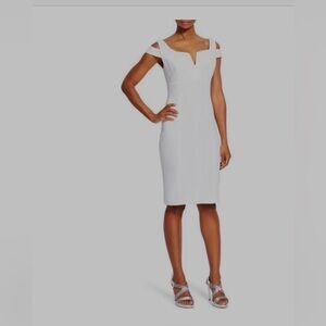 Adrianna Papell Dress size 8